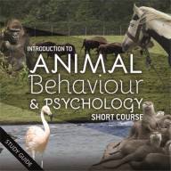 Animal Psychology & Behaviour Short Course