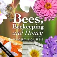 Bees, Beekeeping & Honey Short Course