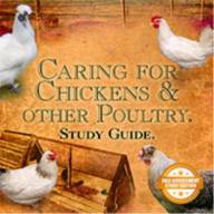 Caring for Chickens & Other Poultry 
