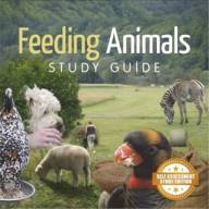 Feeding Animals Short Course