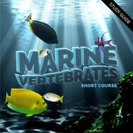 Marine Vertebrates Short Course 